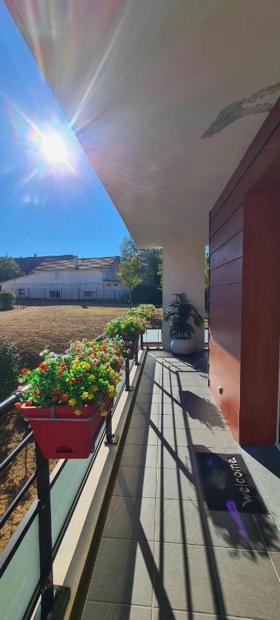 Le Cocon Du Leman Lägenhet Viry  Exteriör bild